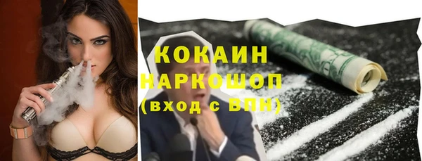 крисы Новозыбков