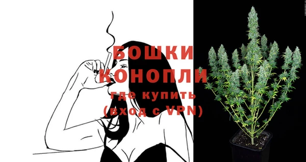 гидра Нея