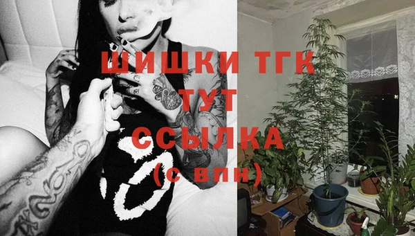 гидра Нея