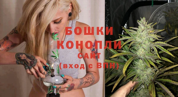 гидра Нея