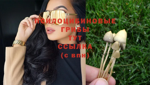 крисы Новозыбков