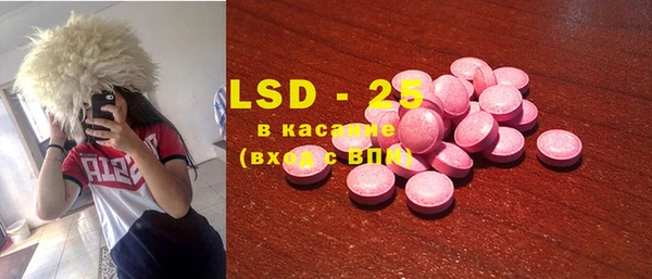 крисы Новозыбков