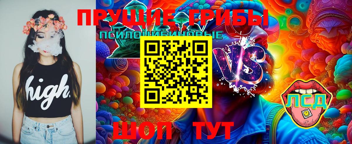 Галлюциногенные грибы GOLDEN TEACHER  Вход с VPN  Раменское 